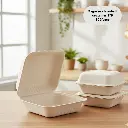 Bagasse Clamshell Container - 9"x 9"