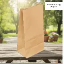  Brown Paper Bag - 8 lb